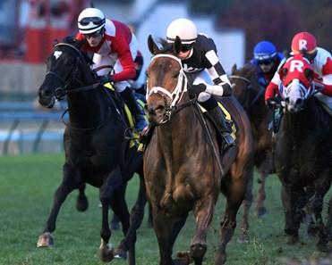 Mr. Misunderstood wins the 2017 Commonwealth Turf Stakes