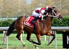 Daisy wins the Tempted Stakes at Aqueduct Racetrack