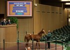 Hip 2892, a filly by Broken Vow, hammers on a final bid of $110,000