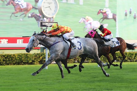 Derek Leung drives Pingwu Spark to victory inthe Class 2 Chevalier Property Development & Operations Handicap (1400m) at Sha Tin Racecourse on November 26 2017