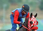 Bullards Alley's only win this year came in the Pattison Canadian International Stakes