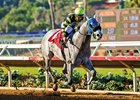 Greyvitos wins the Bob Hope Stakes (G3) at Del Mar Racetrack on November 11, 2017.