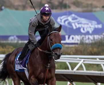 Battle of Midway out for morning exercise at Del Mar Nov. 2, 2017.