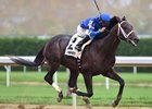 Avery Island takes the Nashua by 4 3/4 lengths at Aqueduct Racetrack