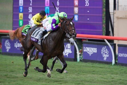 Rushing Fall wins the Breeders Cup Juvenile Fillies Turf at Del Mar on November 3, 2017.