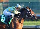 Road to Victory wins the Golden Rod Stakes at Churchill Downs