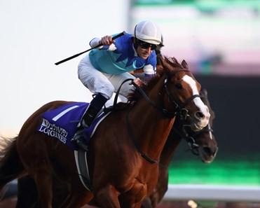 Cheval Grand (JPN) wins the 2017 Japan Cup