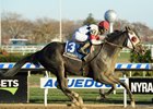 Stallwalkin' Dude wins the 2017 Fall Highweight Handicap