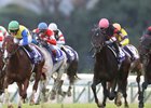 Persian Knight and Mirco Demuro (pink cap) win the Mile Championship at Kyoto