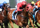 Redzel takes the Darley Classic at Flemington