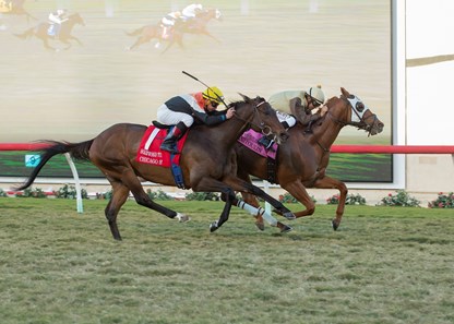 Manitoulin and jockey Mike Smith, right, outleg Chicago Style (Drayden Van Dyke), left, to win the G2, $200,000 Hollywood Turf Cup, Friday, November 24, 2017 at Del Mar Thoroughbred Club, Del Mar CA.
