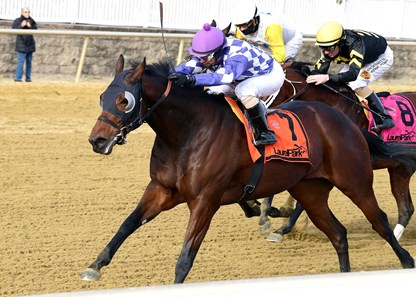 Prince of Hempt wins the 2017 City of Laurel Stakes