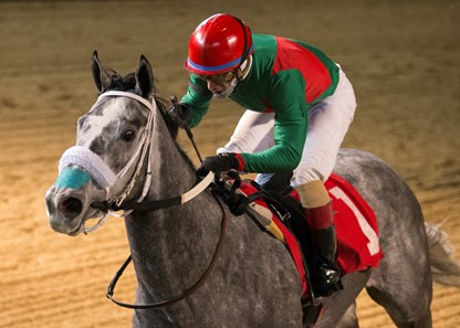 Goneghost winning the Lightning Jet Handicap at Hawthorne Racecourse on 11/25/17. Victor Santiago up.