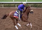 Birdie Gold training for the Breeders' Cup Filly & Mare Turf at Del Mar