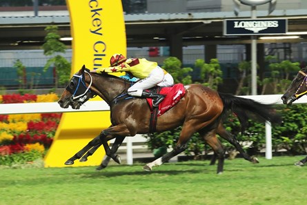 Southern Legend (near side) storms home to take the Class 2 Yip Fat Handicap (1200m) under Nash Rawiller at Happy Valley on October 29 2017