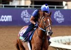 Sadler's Joy will return to the familiar Gulfstream Park course March 3