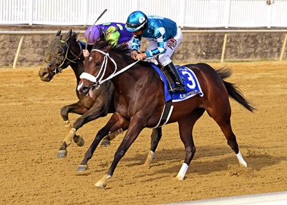 Take Charge Paula wins the 2017 Smart Halo Stakes