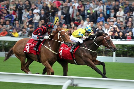 Werther wins the 2017 BOCHK Jockey Club Cup with Time Warp second