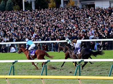 Cheval Grand (JPN) wins the 2017 Japan Cup