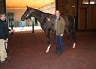 Jay Cash poses with Kentucky Derby winner Always Dreaming Nov. 28 at WinStar Farm as part of a fundraiser for the Grayson-Jockey Club Research Foundation