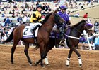 Untamed Domain during the post parade of the 2017 Breeders' Cup Juvenile Turf at Del Mar