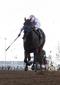 Dream Tree and jockey Drayden Van Dyke win the 2017 Desi Arnaz Stakes, Saturday, November 18, 2017 at Del Mar Thoroughbred Club, Del Mar CA.