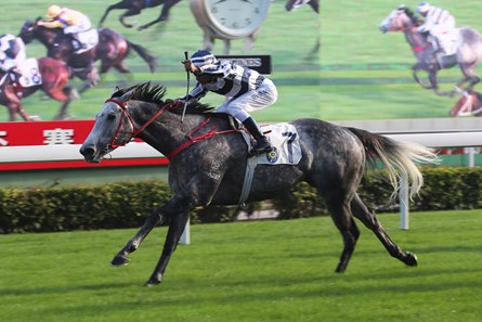 Fifty Fifty wins the Chevalier Cup Handicap at Sha Tin Racecourse on November 26 2017