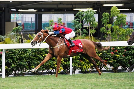 The Golden Age, trained by Tony Cruz and ridden by Matthew Chadwick, opens his Hong Kong account in the Class 2 Wong Chuk Hang Handicap (1650m) at Happy Valley on October 29 2017