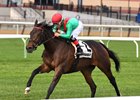 Arles wins the Long Island Handicap