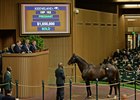 Tammy the Torpedo hammers for $1.65 million at Keeneland