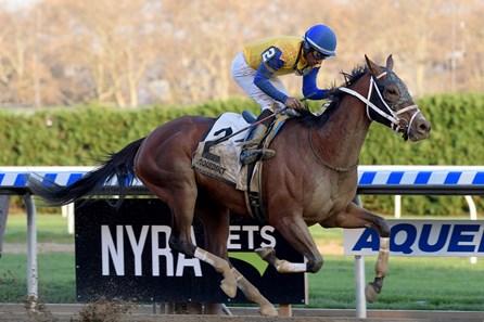 Bee Noteworthy wins the New York Stallion Series Stakes at Aqueduct Racectrack on November 12, 2017.