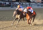 Stay Thirsty (left) gets his head in front of Groupie Doll to win the Cigar Mile.<br><a target="blank" href="http://photos.bloodhorse.com/AtTheRaces-1/at-the-races-2012/22274956_jFd5jM#!i=2234184754&k=dSLwqHZ">Order This Photo</a>
