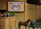 Hip 1460, a filly from the first crop of Lea, sells for $230,000 at the Keeneland November sale