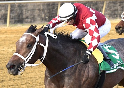 A Different Style wins the 2017 James F. Lewis III Stakes
