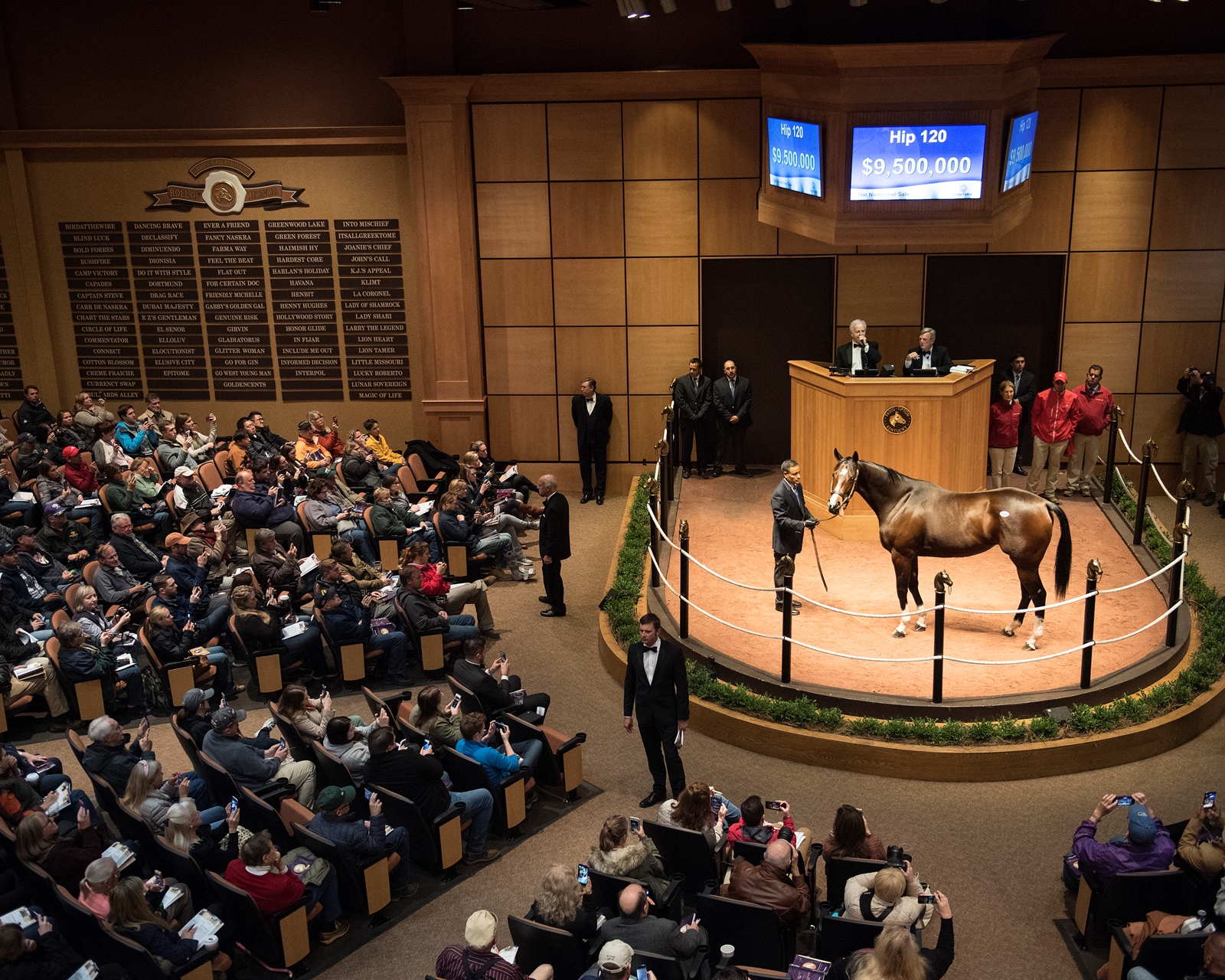 songbird horse sale