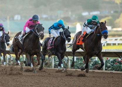 Edwards Going Left wins the 2017 Cary Grant Stakes