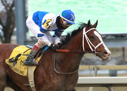 Prince Lucky #4 with Ricardo Santana, Jr. aboard won the $100,000 Pennsylvania Nursery Stakes at Parx Racing in Bensalem, Pennsylvania on December 2, 2017. Prince Lucky is a homebred of owner Daniel McConnell.
