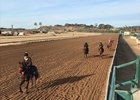 Horses from the barns of trainers Doug O'Neill and Sal Gonzalez jog around the Del Mar main track Dec. 10