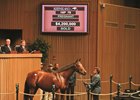 Christmas Kid, hip 78, sold for $4.2 Million during the Keeneland November Sale.