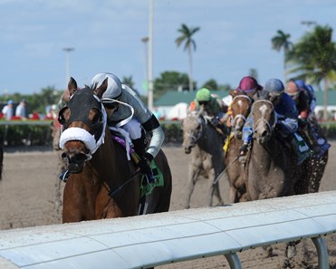First Growth wins the 2017 Claiming Crown Express