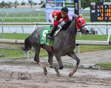 Jaguaryu, $124,000, Lady Caribbean Cup Stakes, Gulfstream Park, December 9 2017
