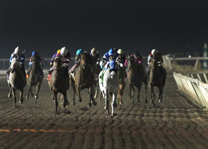 Greyvitos wins the 2017 Springboard Mile
