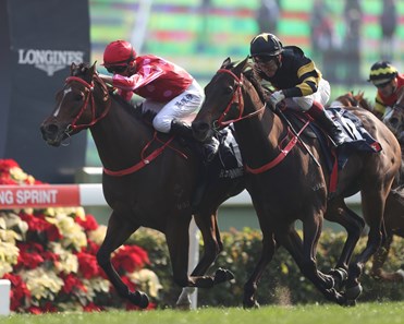 Mr Stunning wins the 2017 Hong Kong Sprint