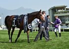 Highland Reel closed out his career with a win in the Hong Kong Vase at Sha Tin Racecourse