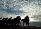 Racing at Woodbine