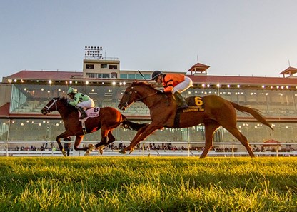 Extra Credit (lime green silks) wins the Louisiana Champions Day Turf at Fair Grounds.