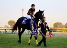 Kitasan Black wins the 2017 Arima Kinen