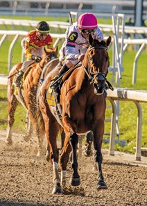12/9/2017 - Minit to Stardom with Colby Hernandez aboard wins thd 27th running of the Louisiana Champions Day Lassie at Fair Grounds. Hodges Photography / Jamie Hernandez
