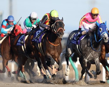 Gold Dream wins the 2017 Champions Cup