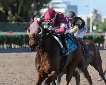 Twocubanbrothersu wins the 2017 Claiming Crown Iron Horse